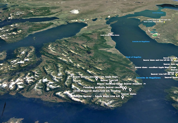 beaver expansion after 2000-markers by Jean Thie