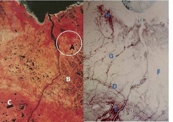 1973 Landsat winter summer image