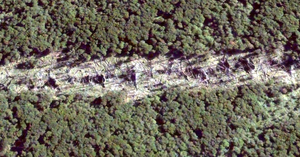 similar area as previous image-not burned