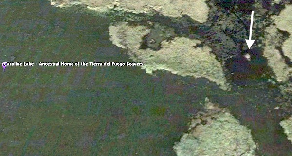 beaver lodge- the ancestral home?