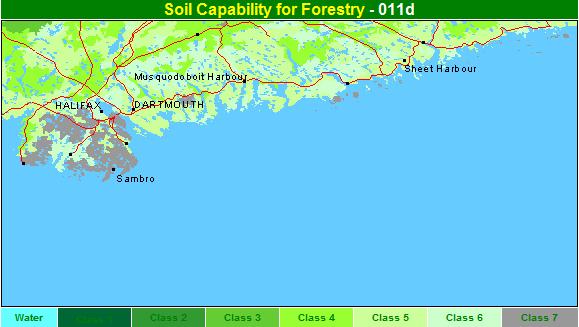 forestry capability map