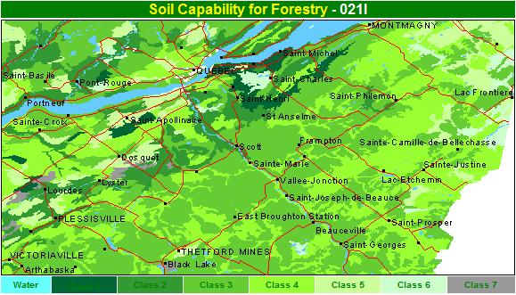 forestry capability map
